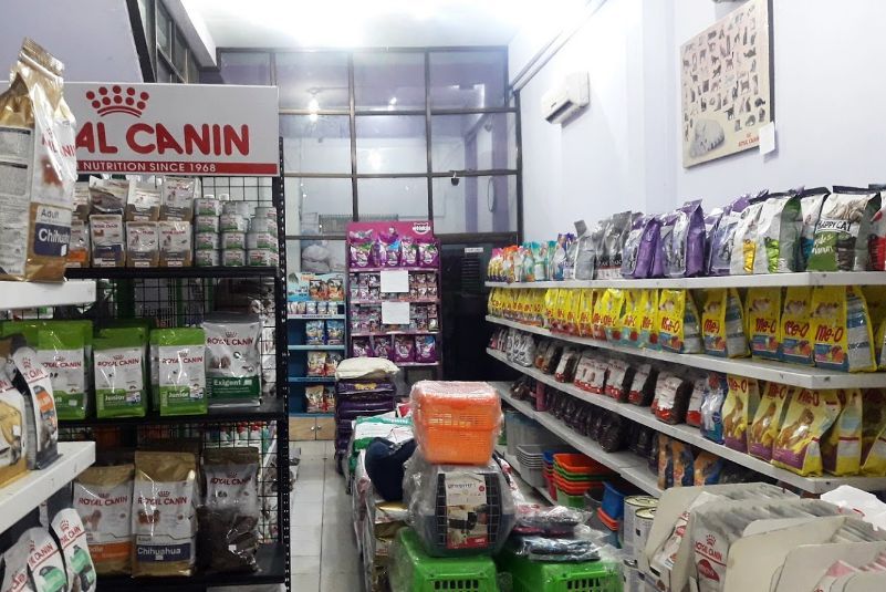 Pet Shop Di Medan 